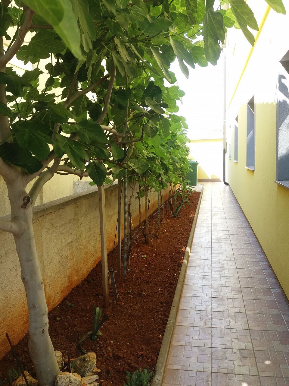 Photo of Apartments Vanja