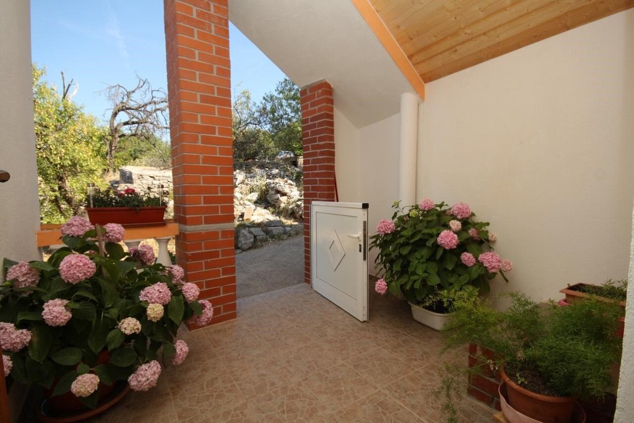 Apartment Ralje 105761-A1
