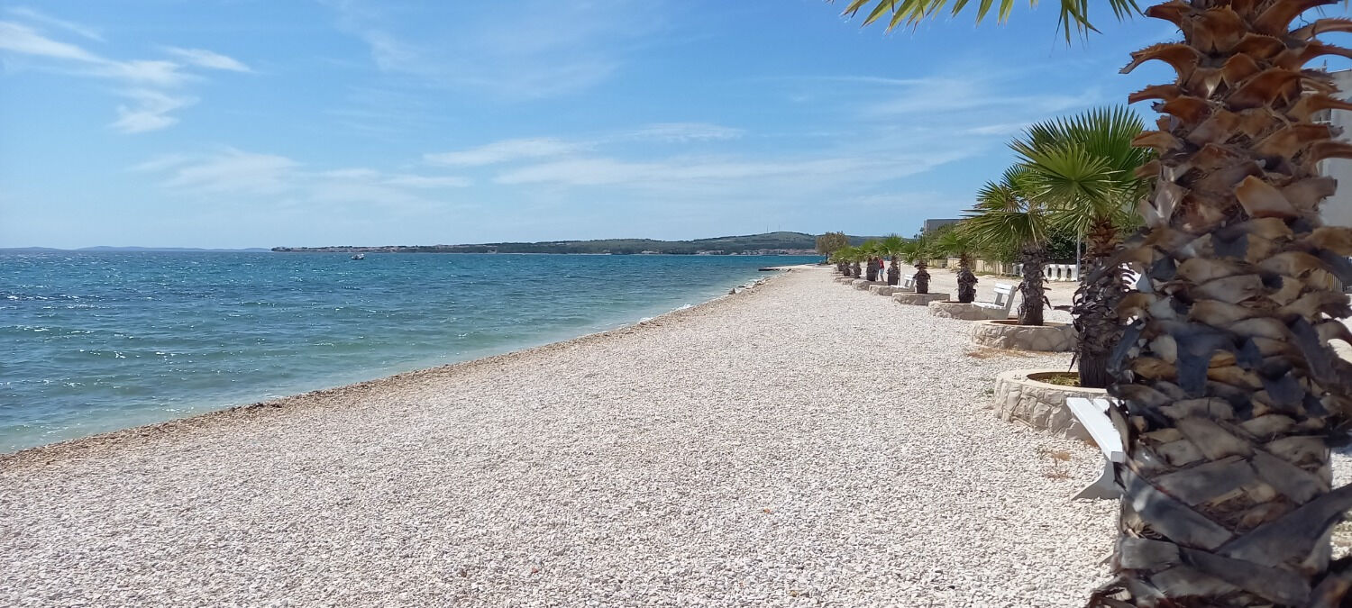 Apartments Bozica Accommodation in Vir