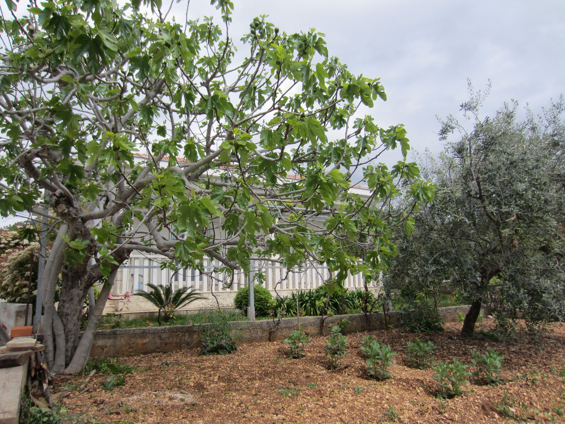 House VesnaD 10587-K1