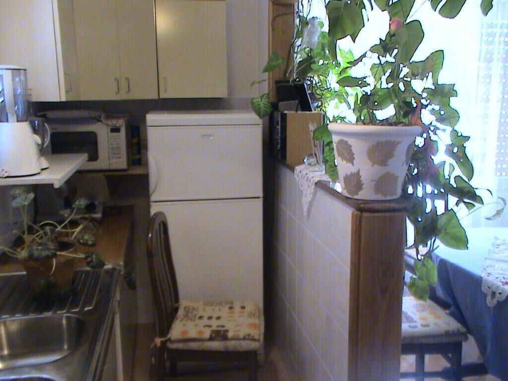 Apartment Ivy 105841-A1