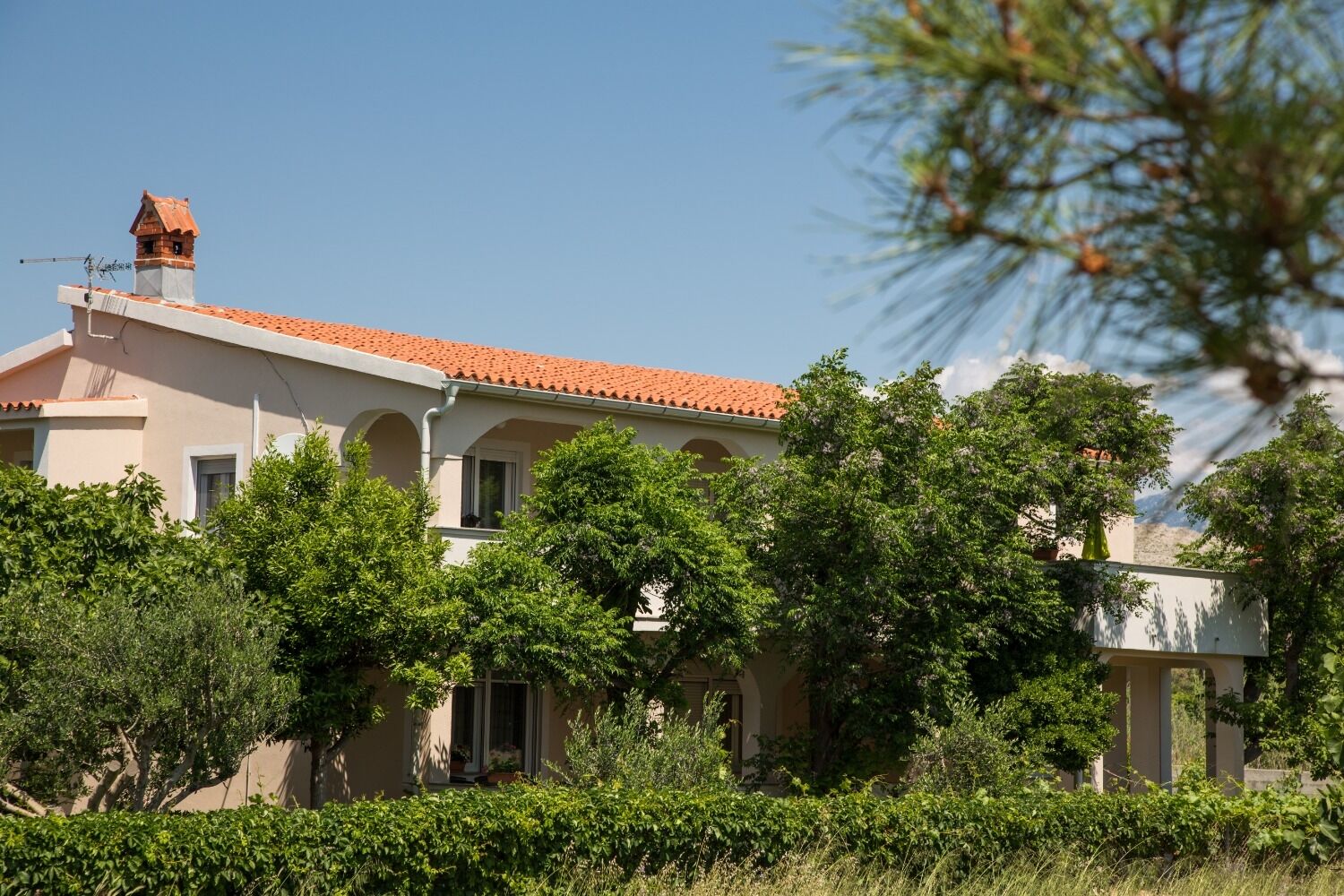 Apartments Ana 10596-A1