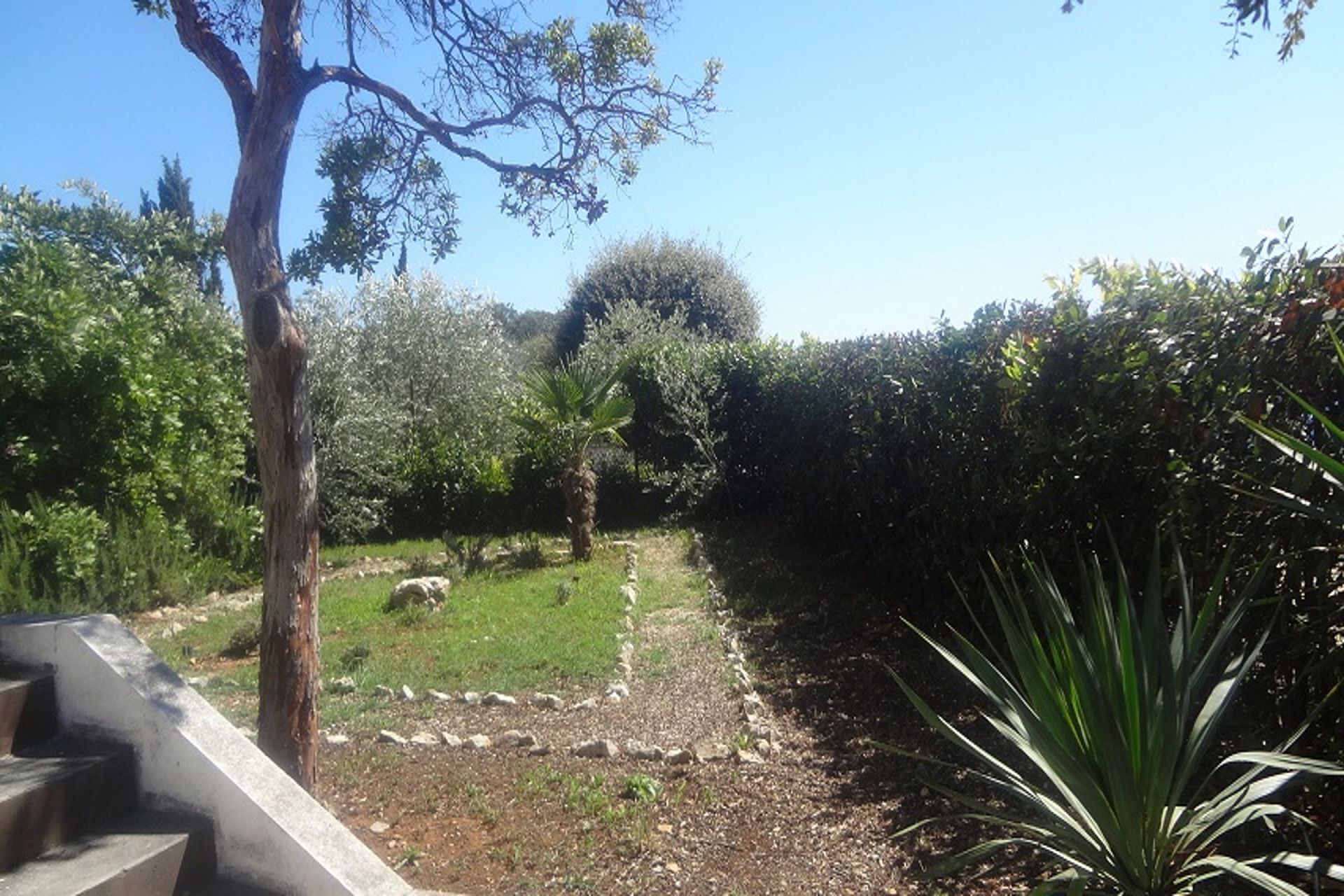 Apartment Andri 105981-A2