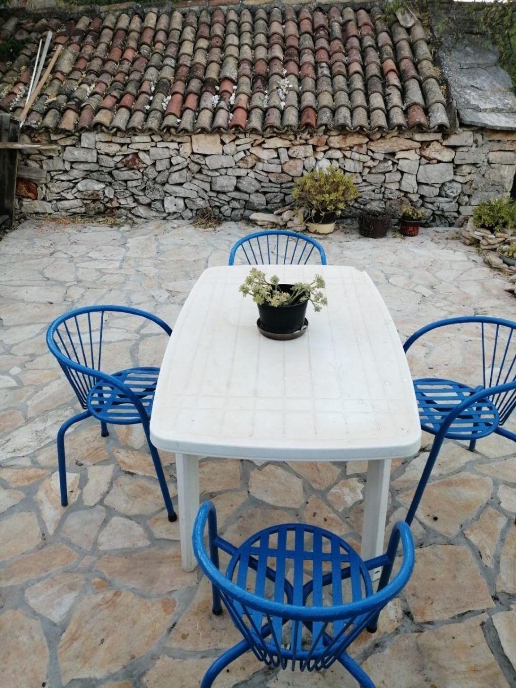 Apartments Darka 106051-A2