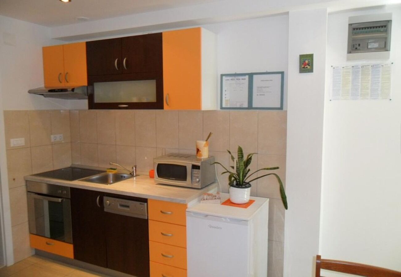 Apartment Davor 106131-A1