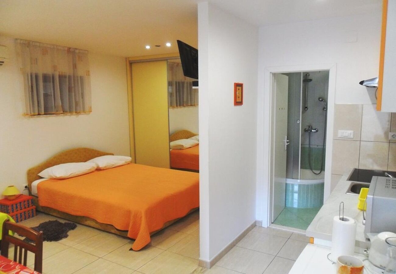 Apartment Davor 106131-A1