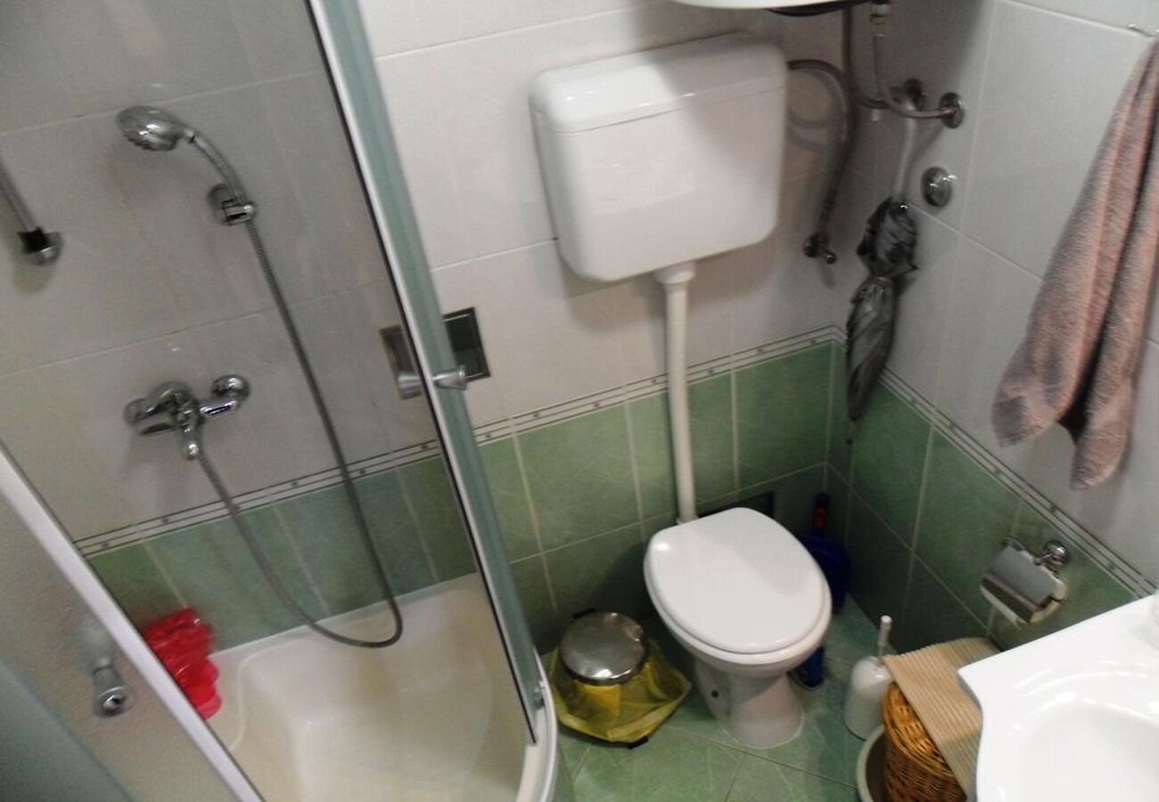 Apartment Davor 106131-A1