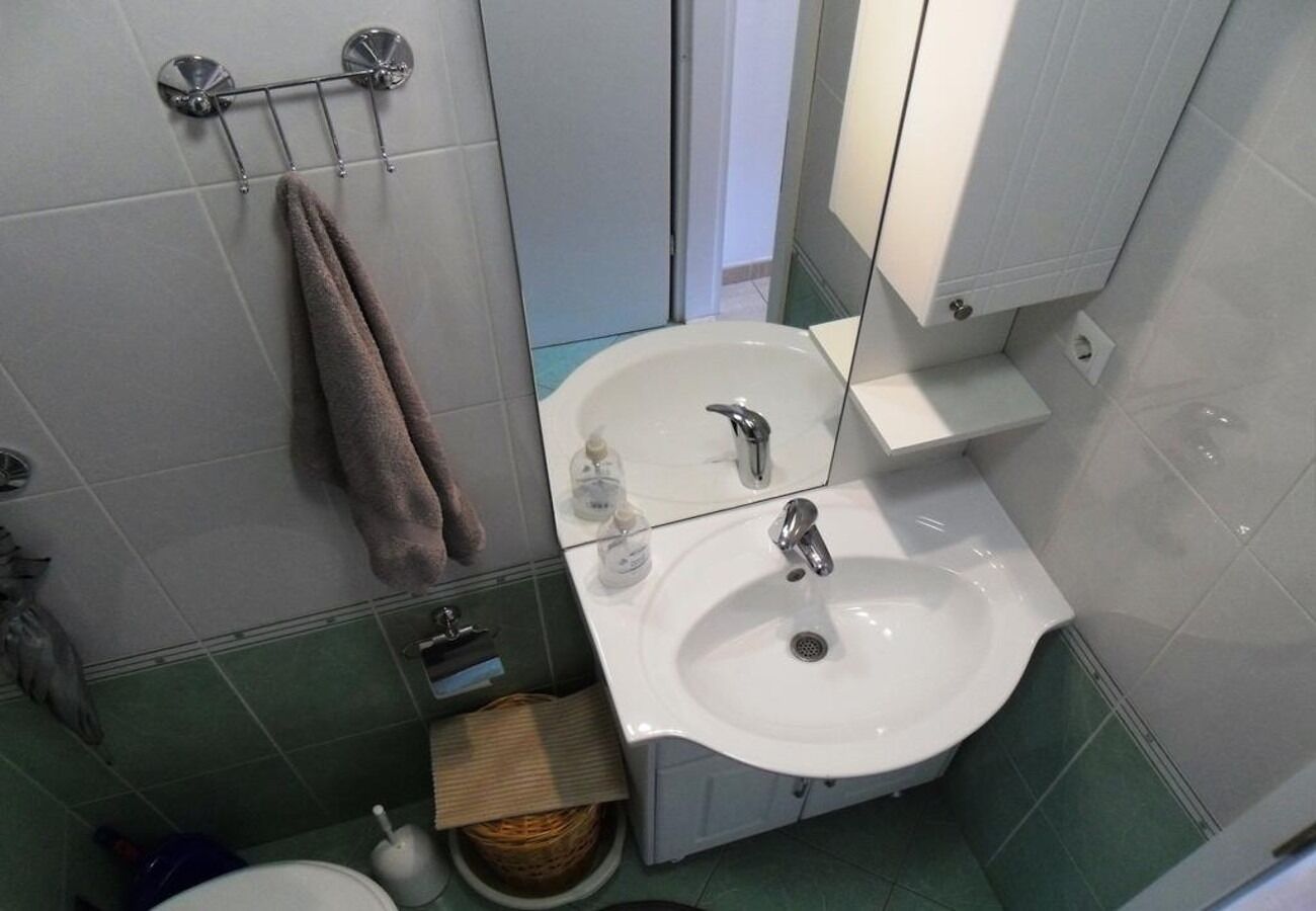 Apartment Davor 106131-A1