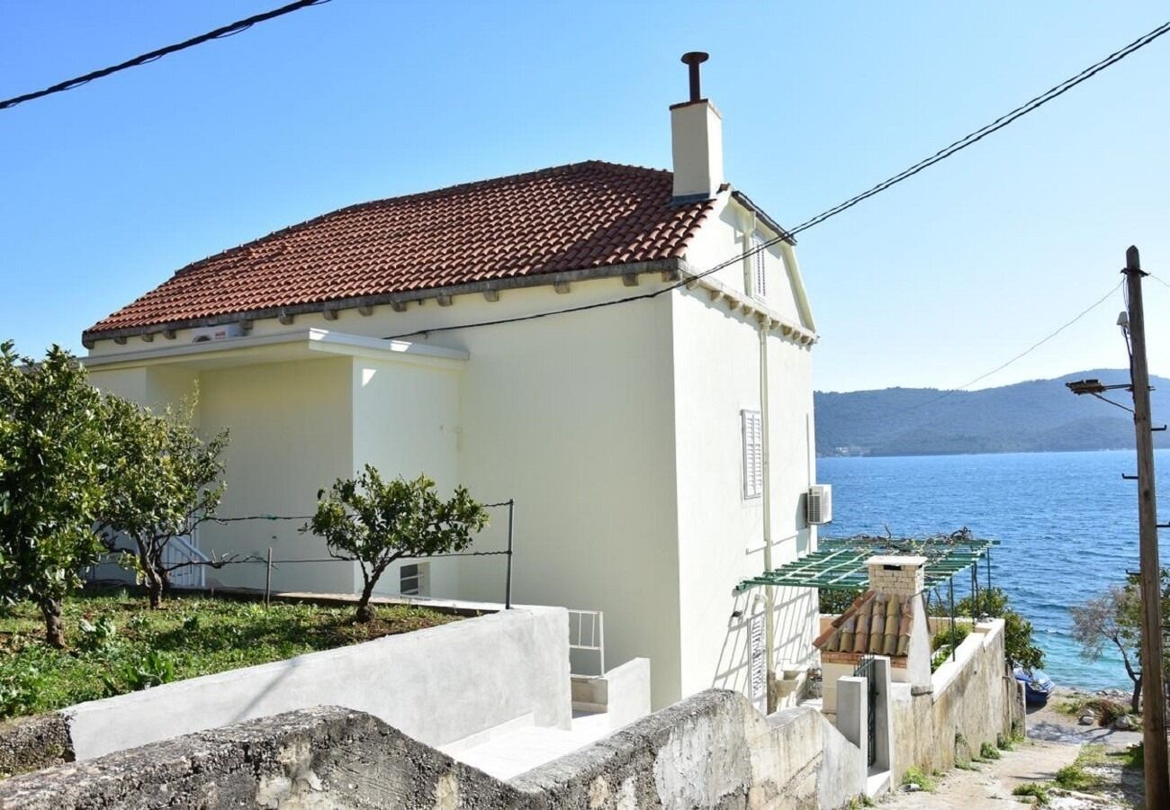 Apartments Nevenkos 106241-A2