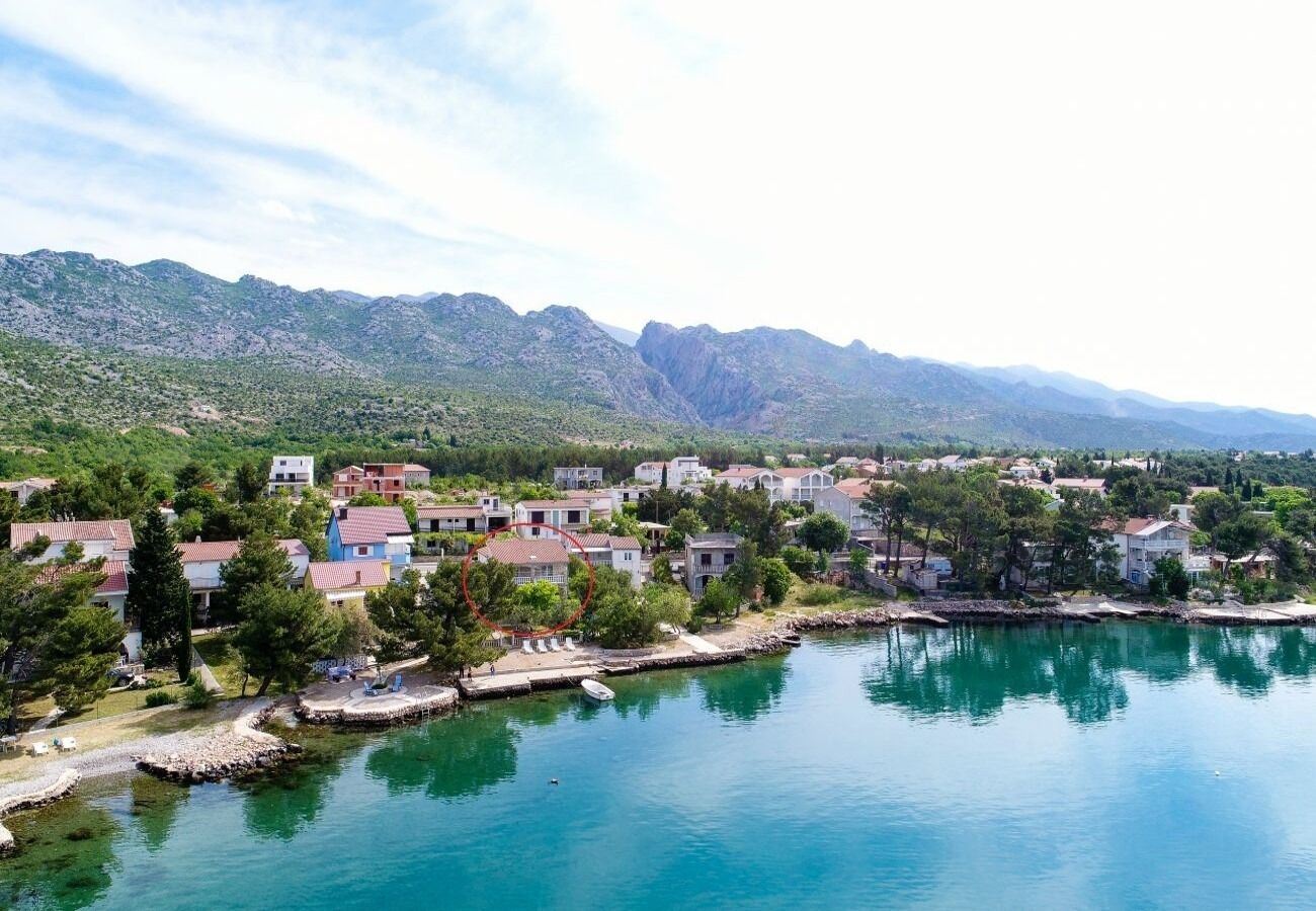 Photo of Apartments Ivan Z