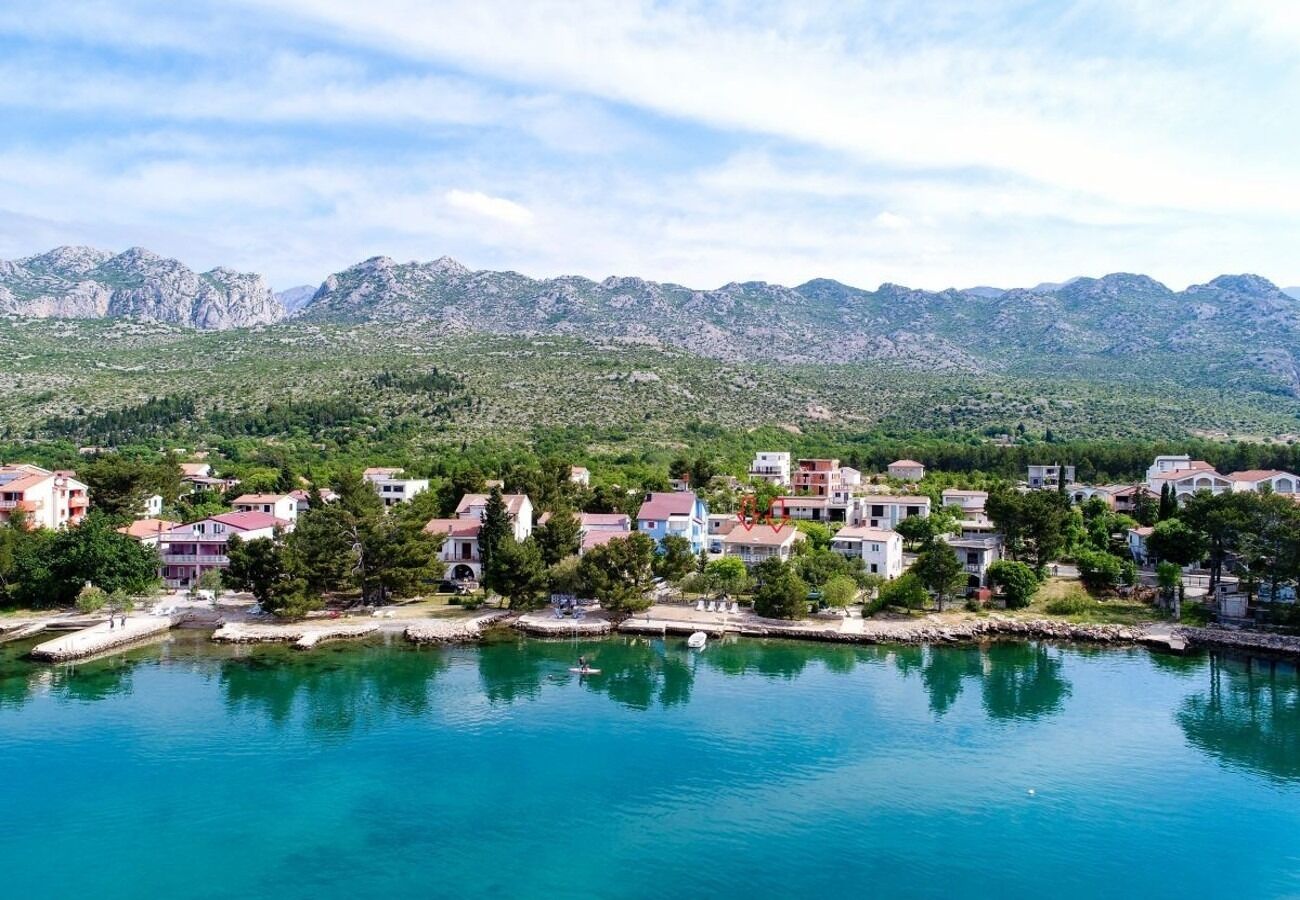 Photo of Apartments Ivan Z