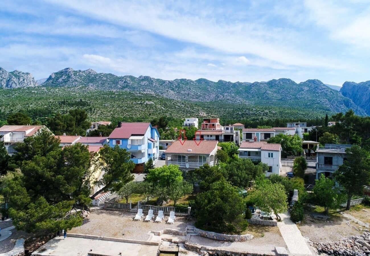 Photo of Apartments Ivan Z