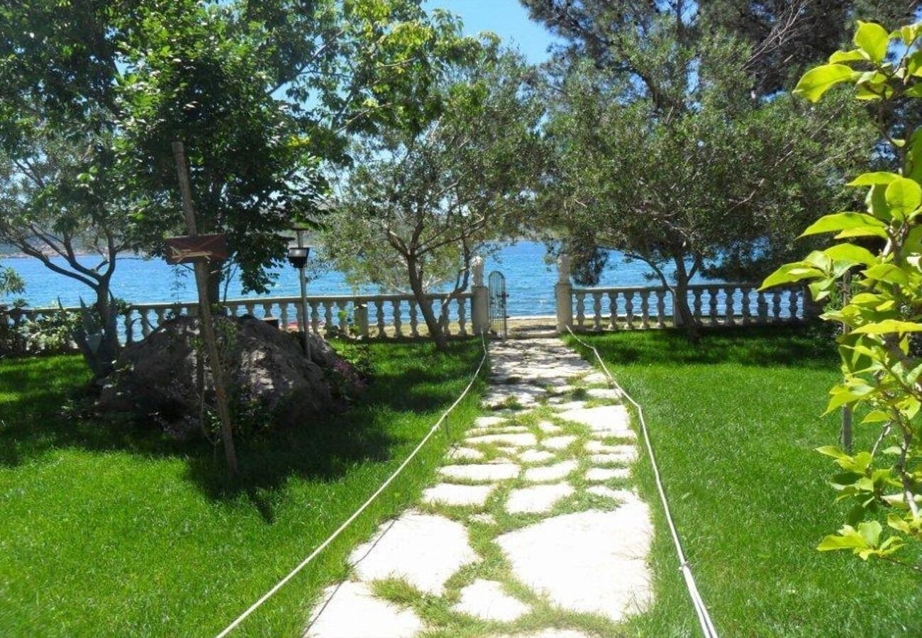 Photo of Apartments Ivan Z