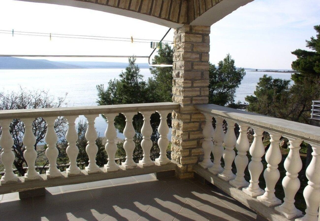 Photo of Apartments Ivan Z