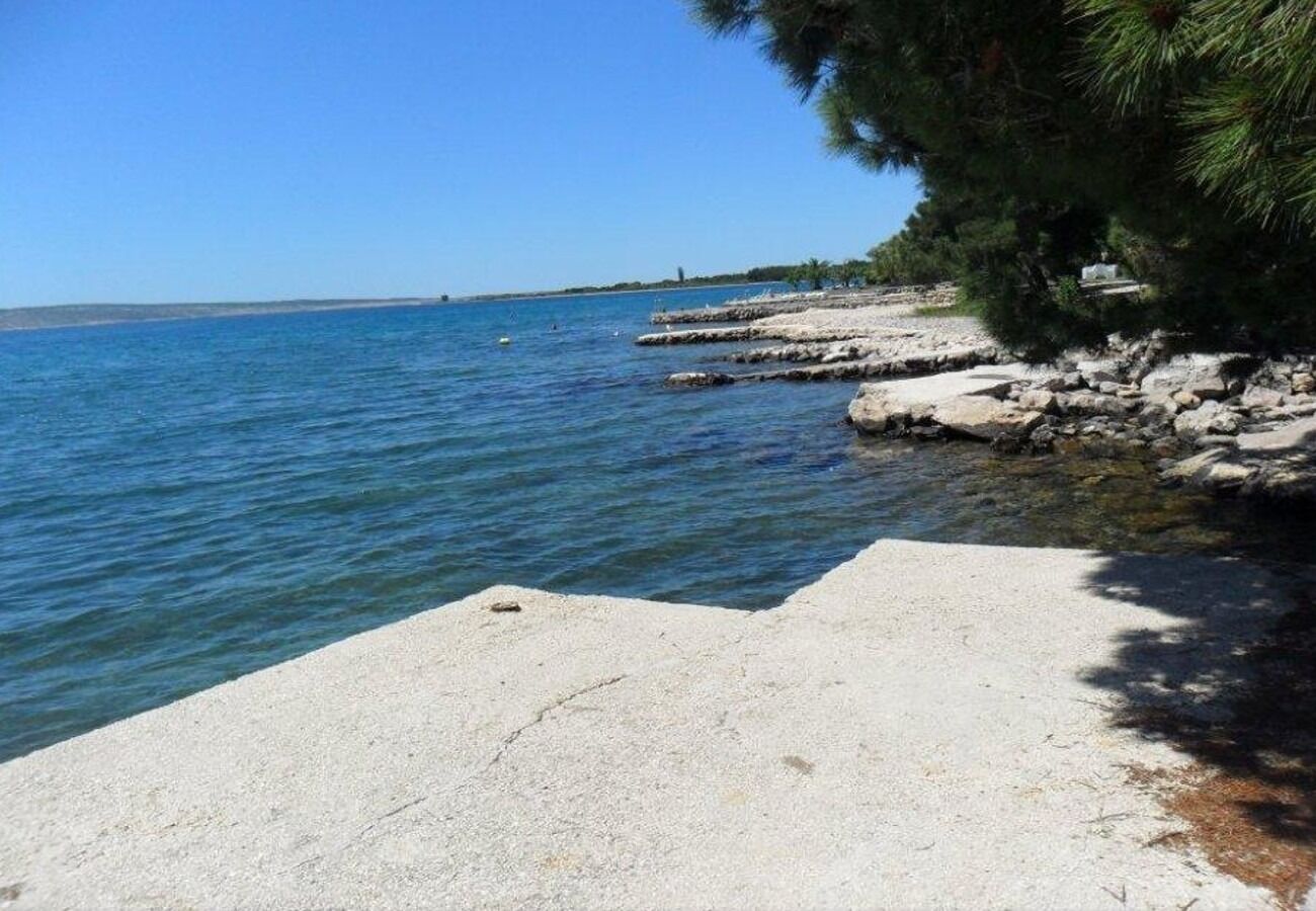 Photo of Apartments Ivan Z