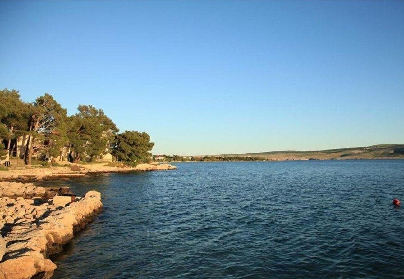 Photo of Apartments Ivan Z