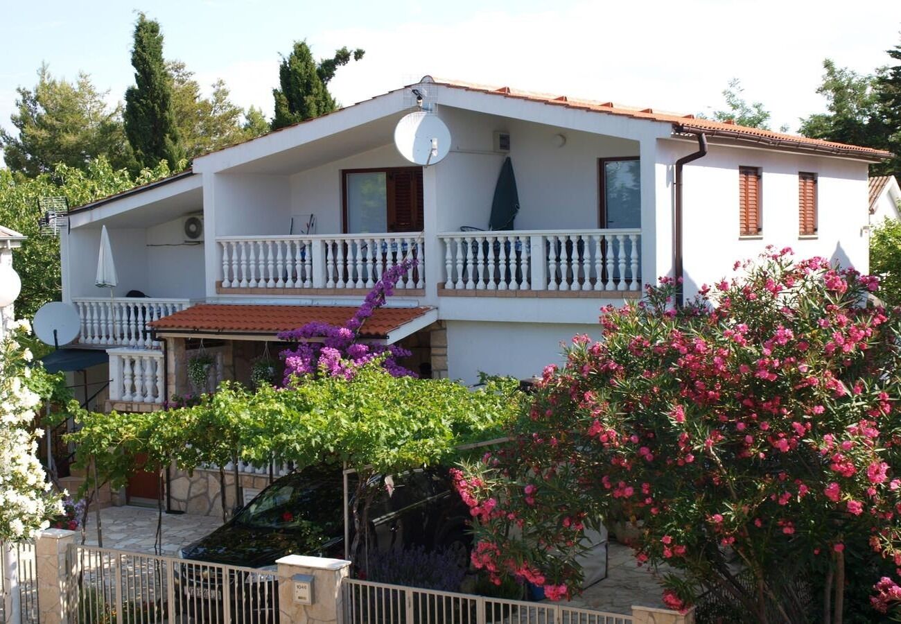 Apartment Dobri Accommodation in Nin