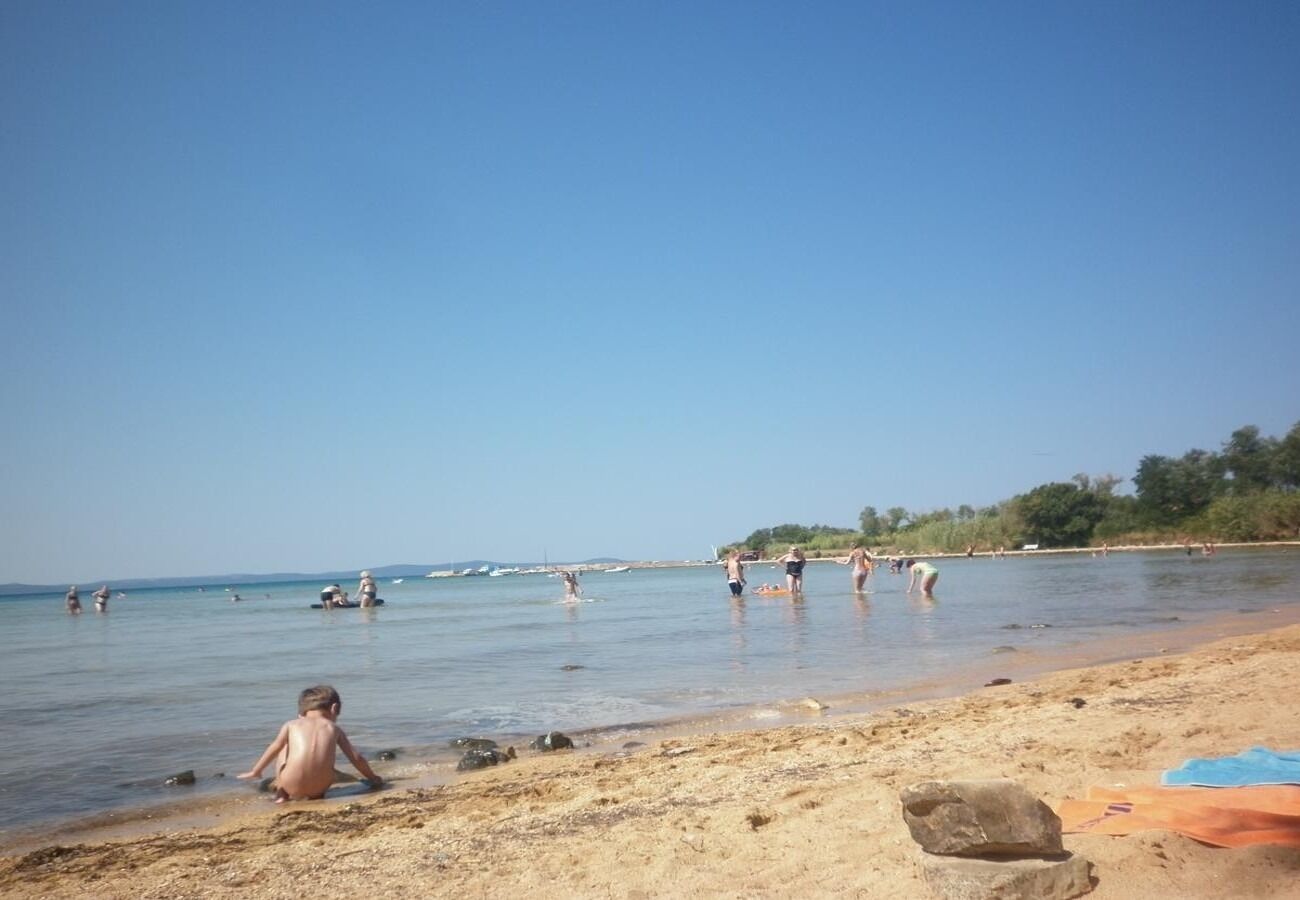 Photo of Apartment Dobri