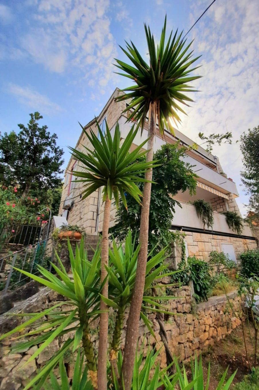 Apartment Elena 10637-A1