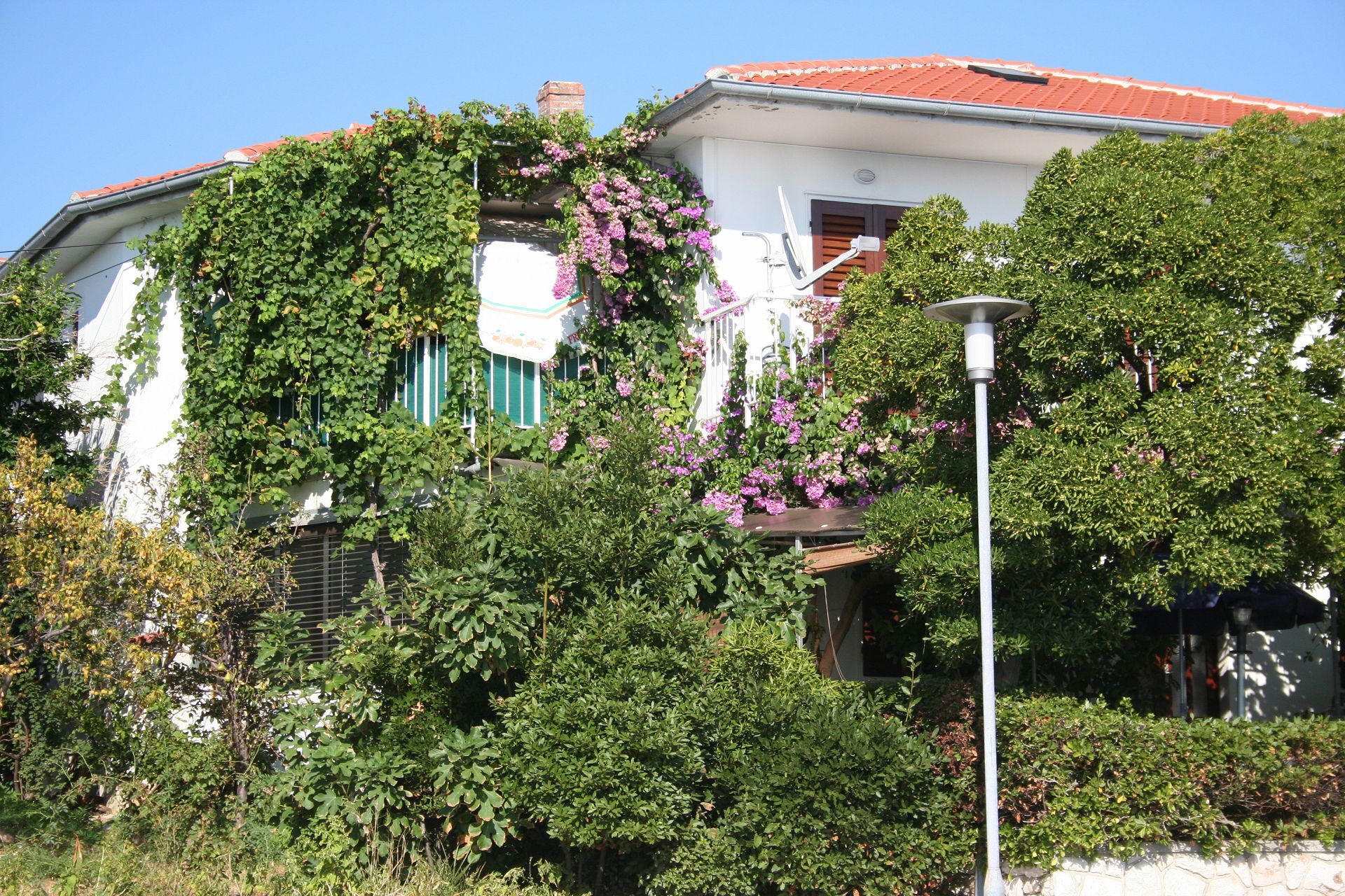 Apartment Petar 10655-A1