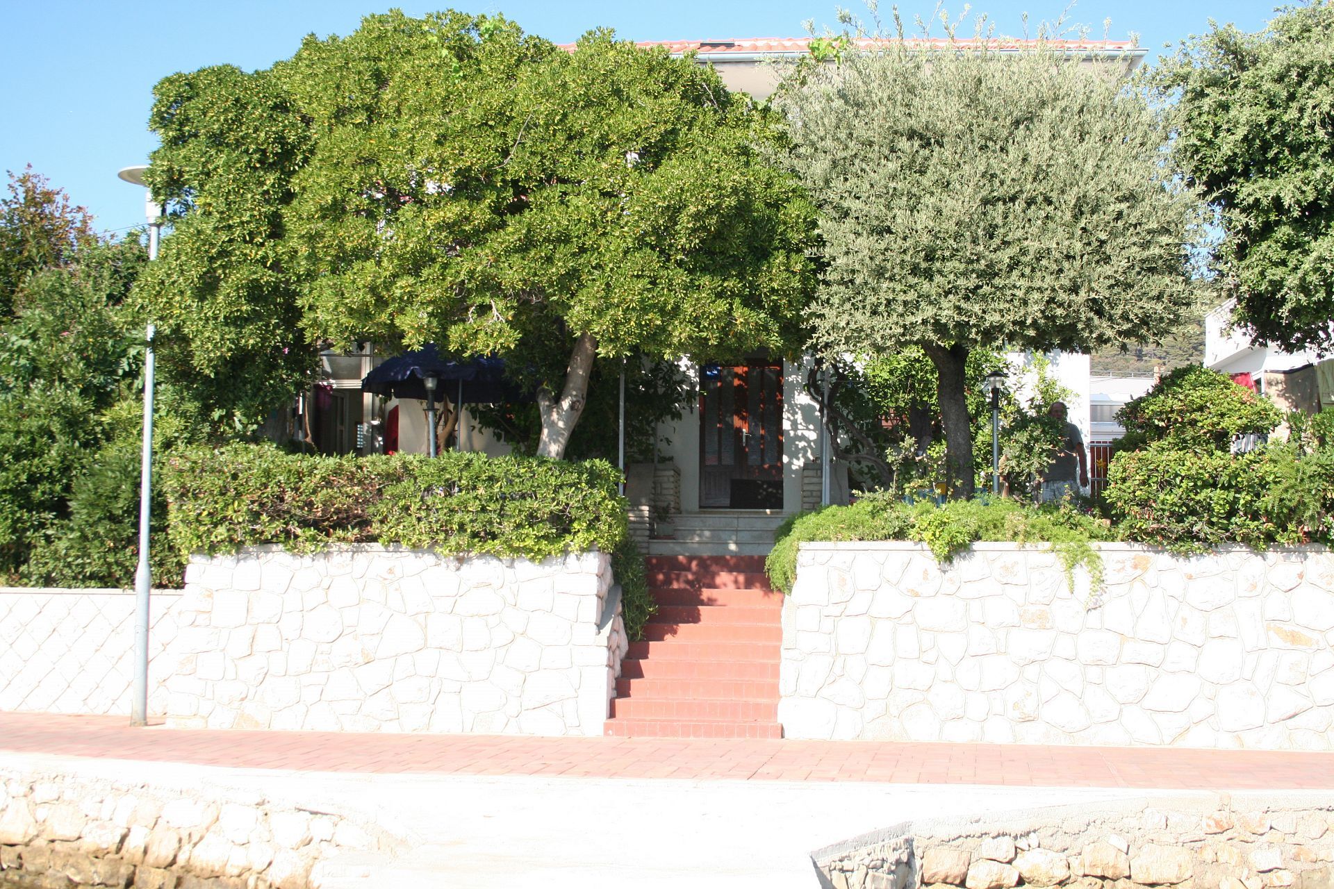 Apartment Petar 10655-A1