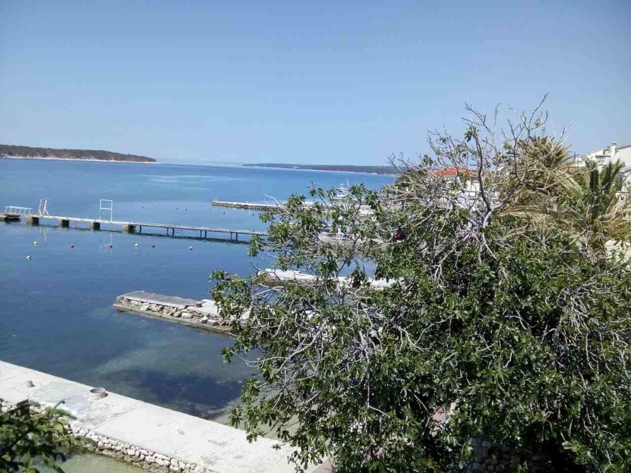 Apartment Petar 10655-A1