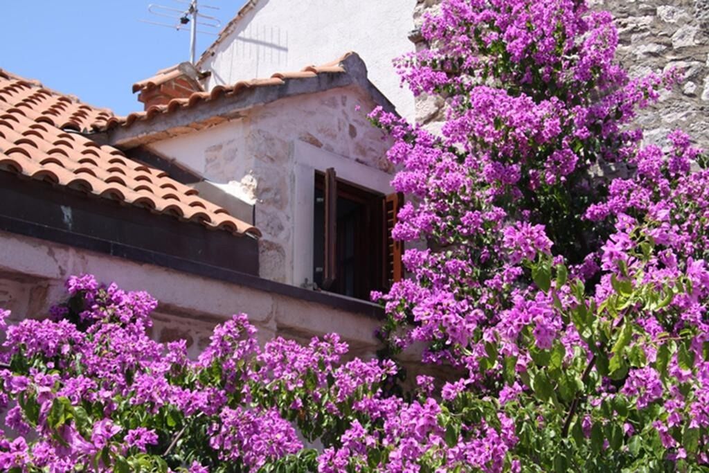 House Davor 106621-K1