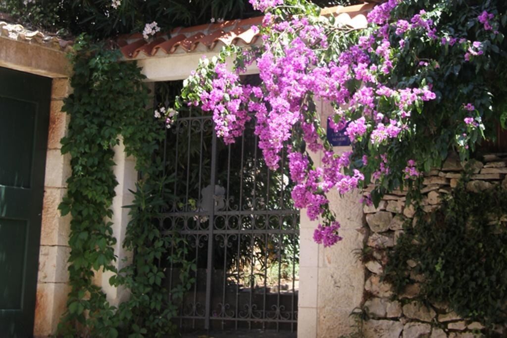 House Davor 106621-K1