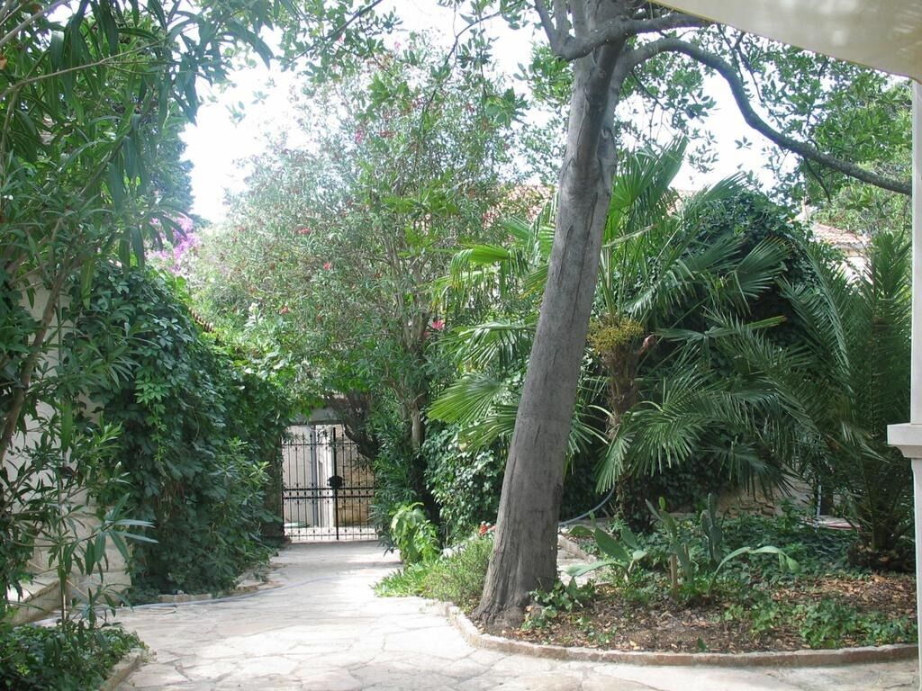 House Davor 106621-K1