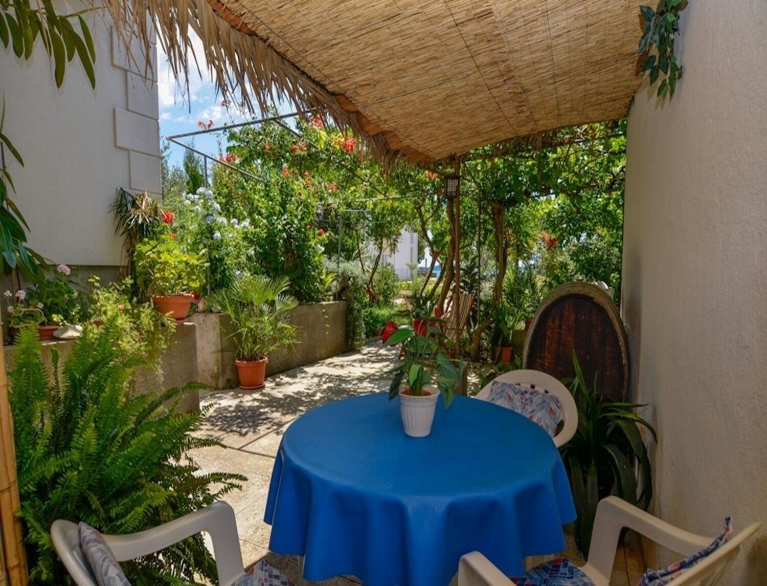 Apartment Rosa 106671-A1