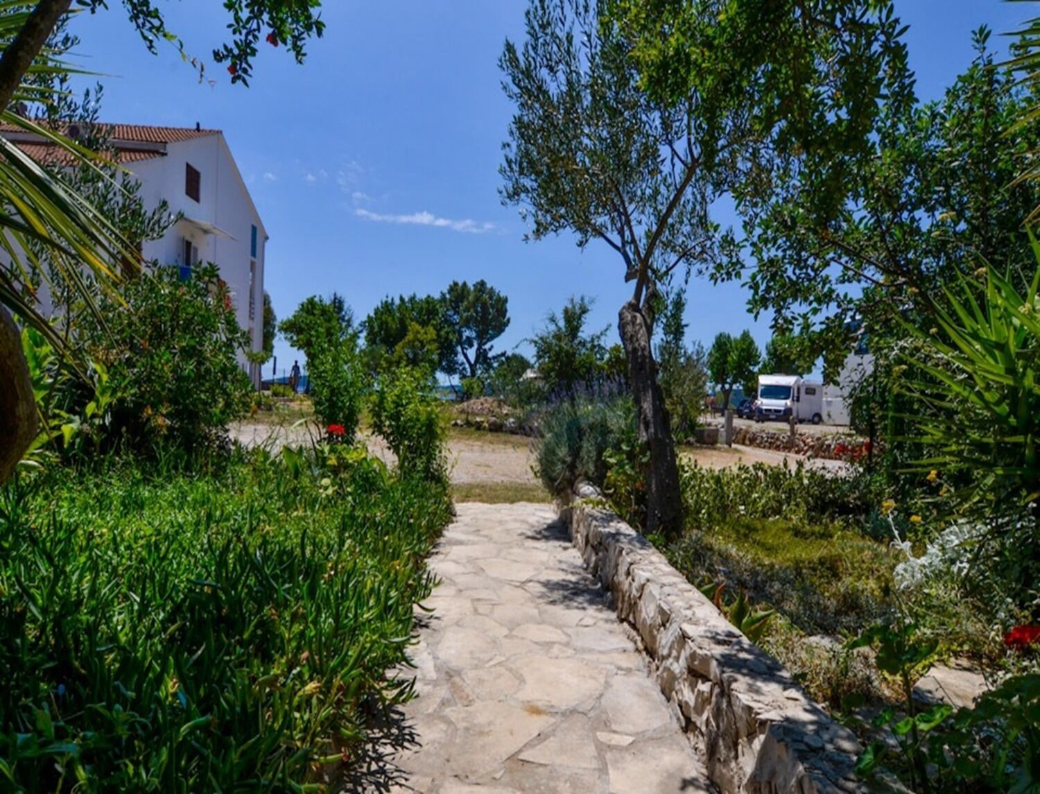 Apartment Rosa 106671-A2