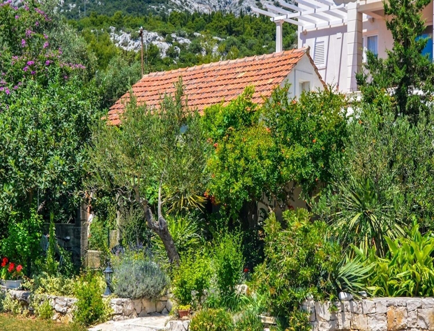 Apartment Rosa 106671-A2