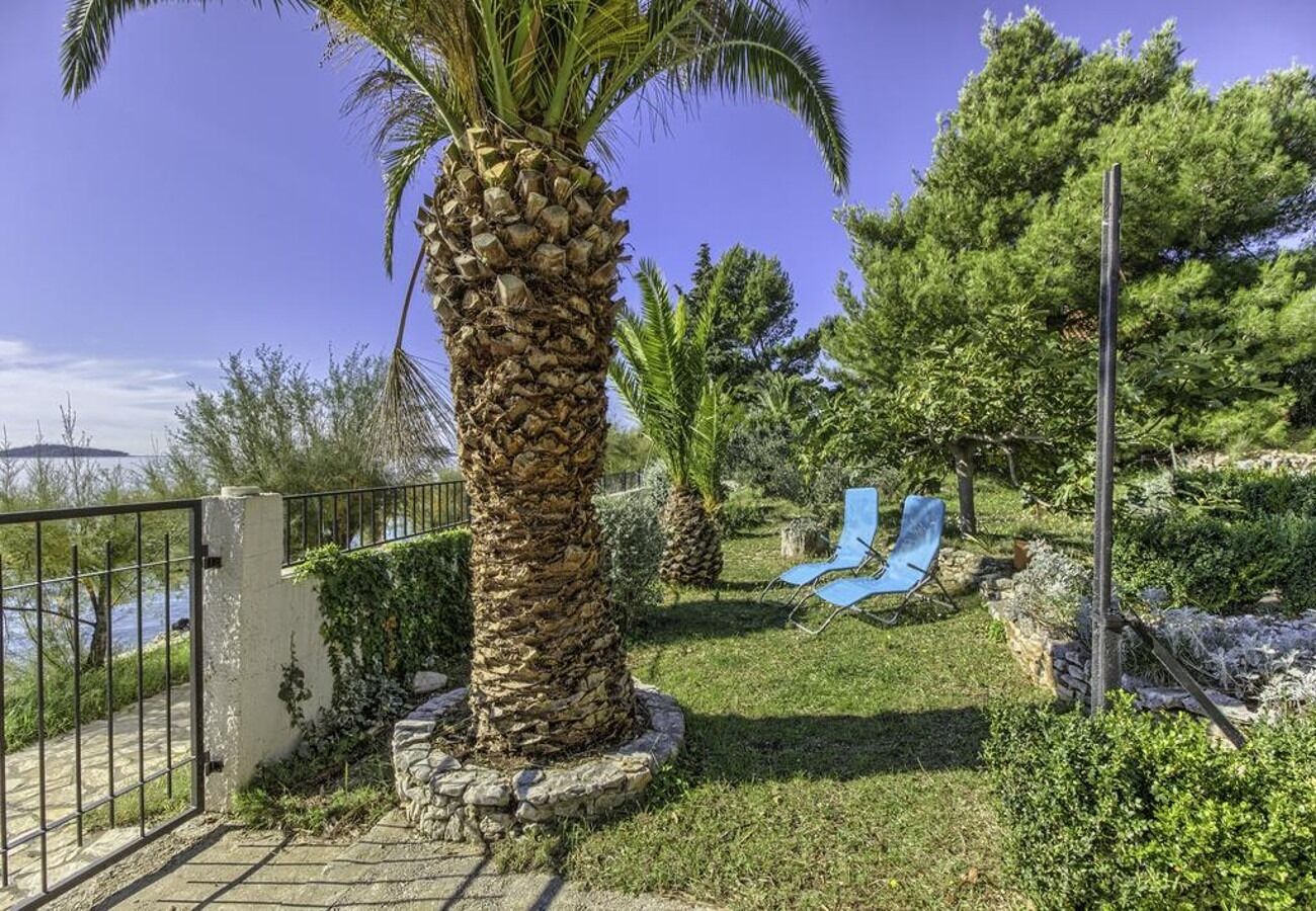 Apartments Lidija 106771-A1