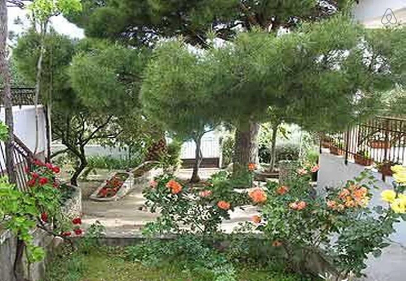 Apartments Lidija 106771-A1