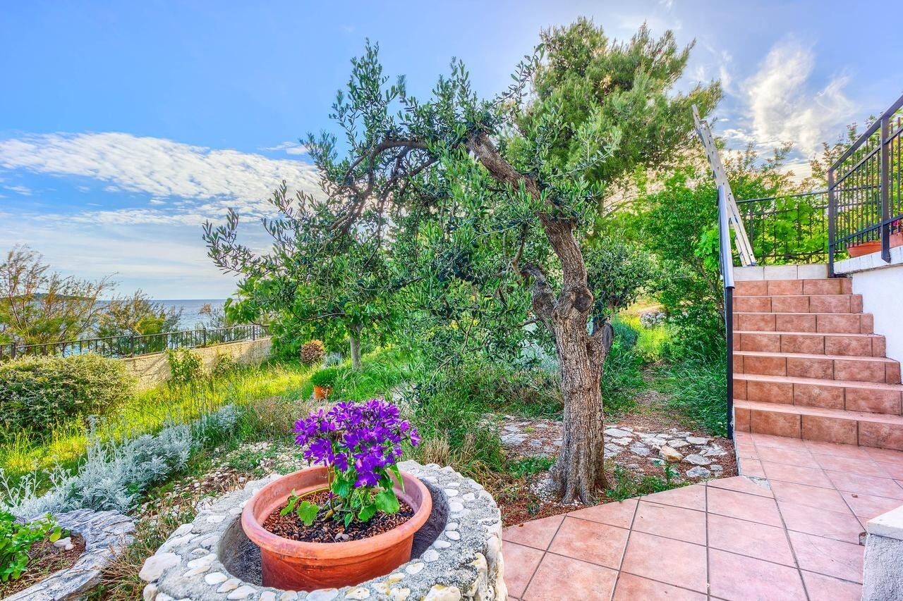 Apartments Lidija 106771-A1