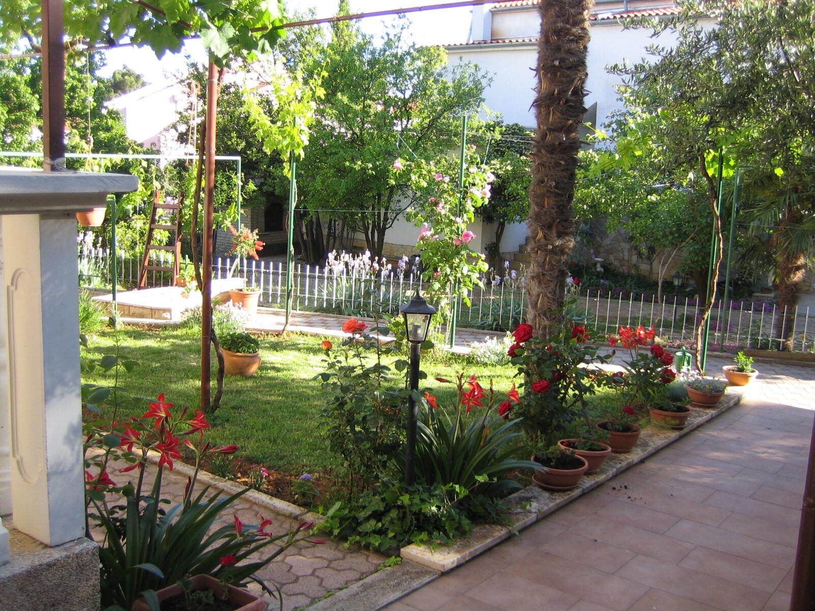 Apartments Renato 106781-A2