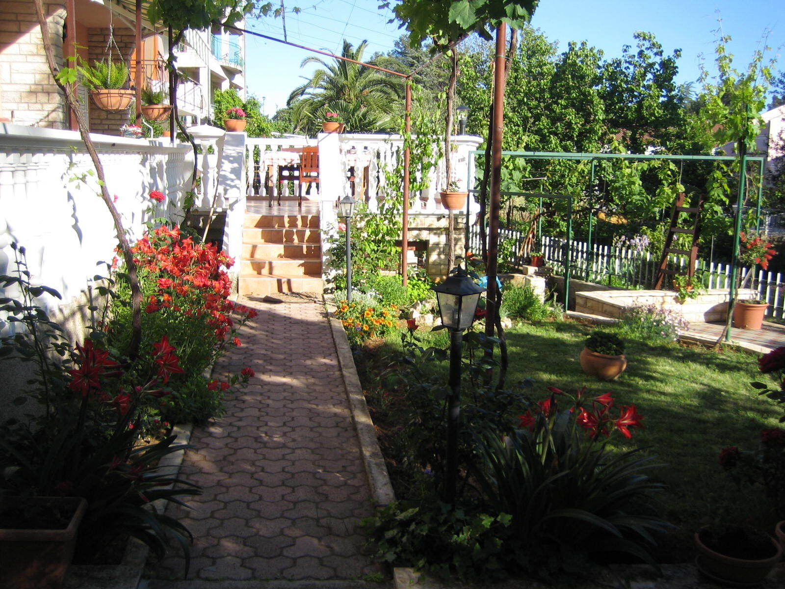 Apartments Renato 106781-A2