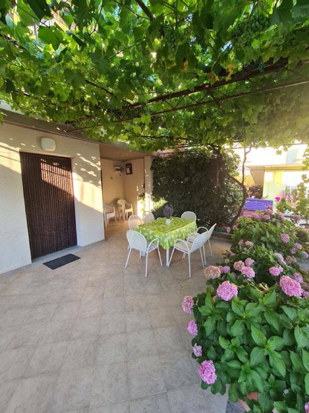 Apartments Martina A1