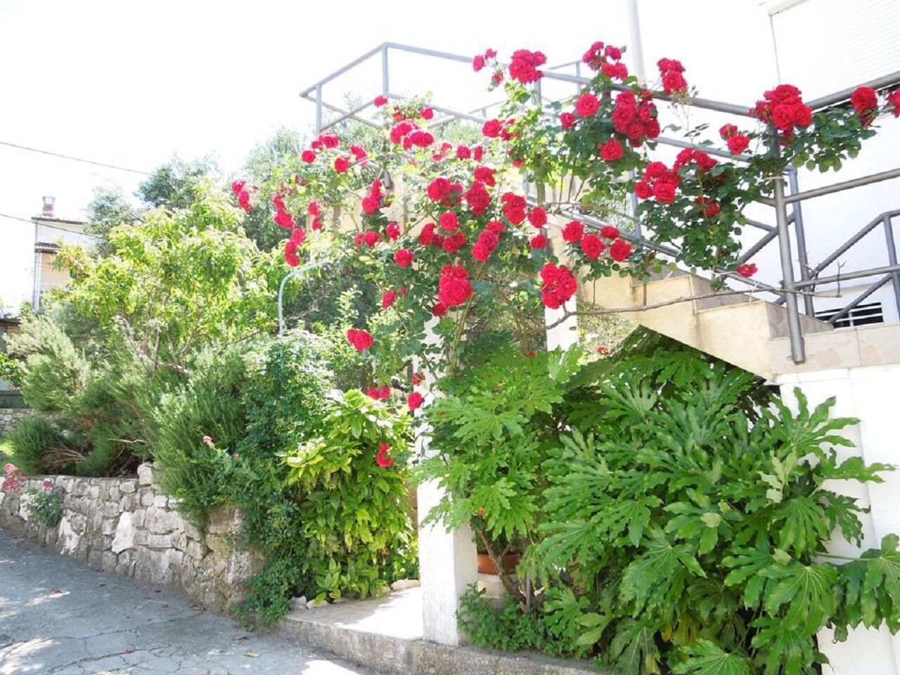 Photo of Apartments Josi