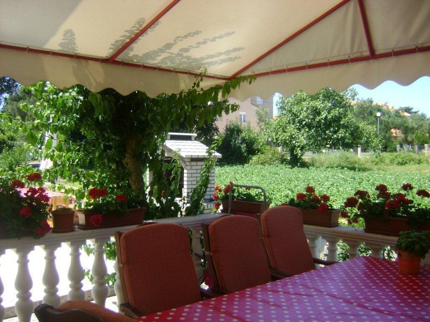 Photo of Apartments Darko