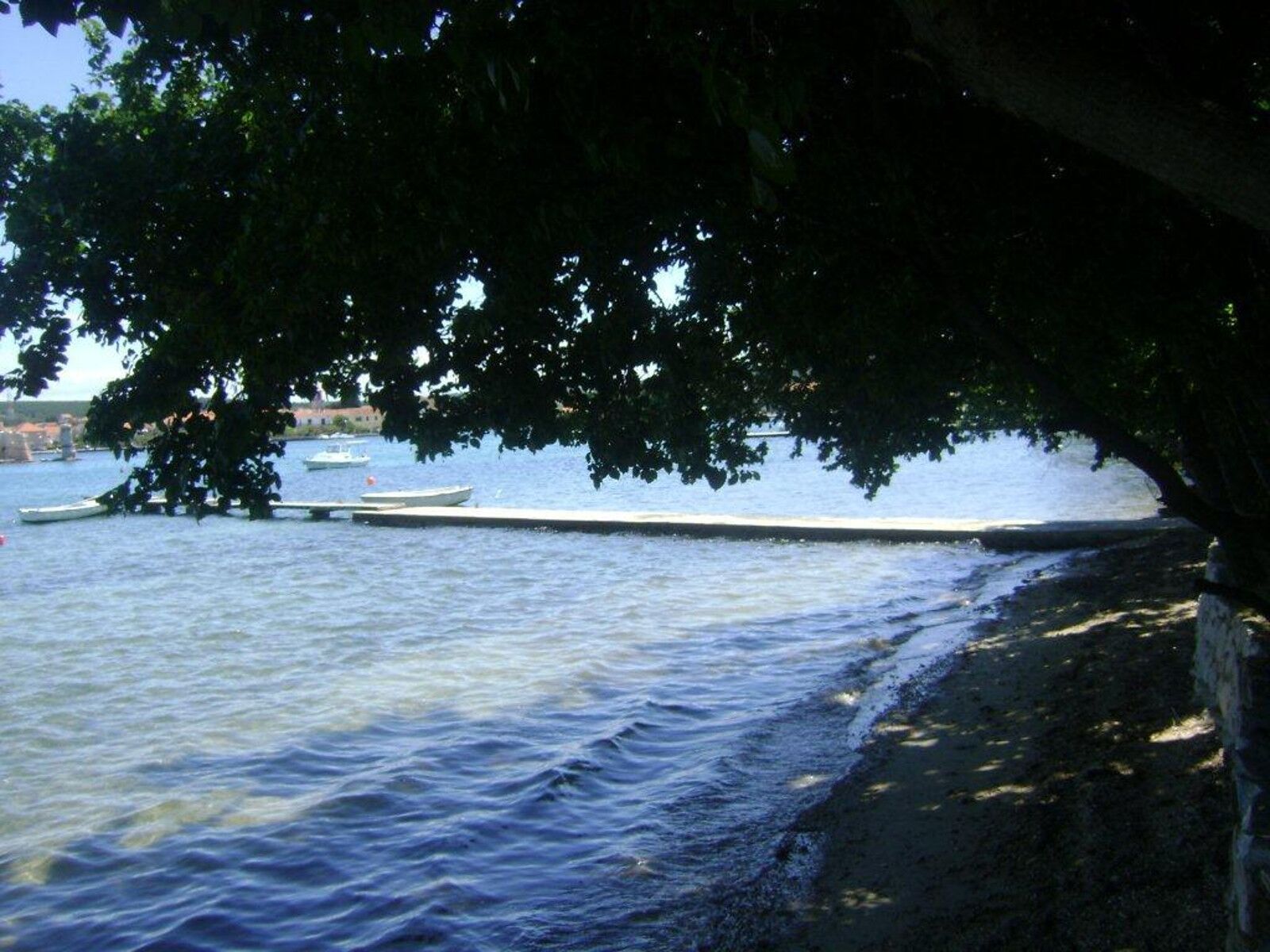 Photo of Apartments Darko