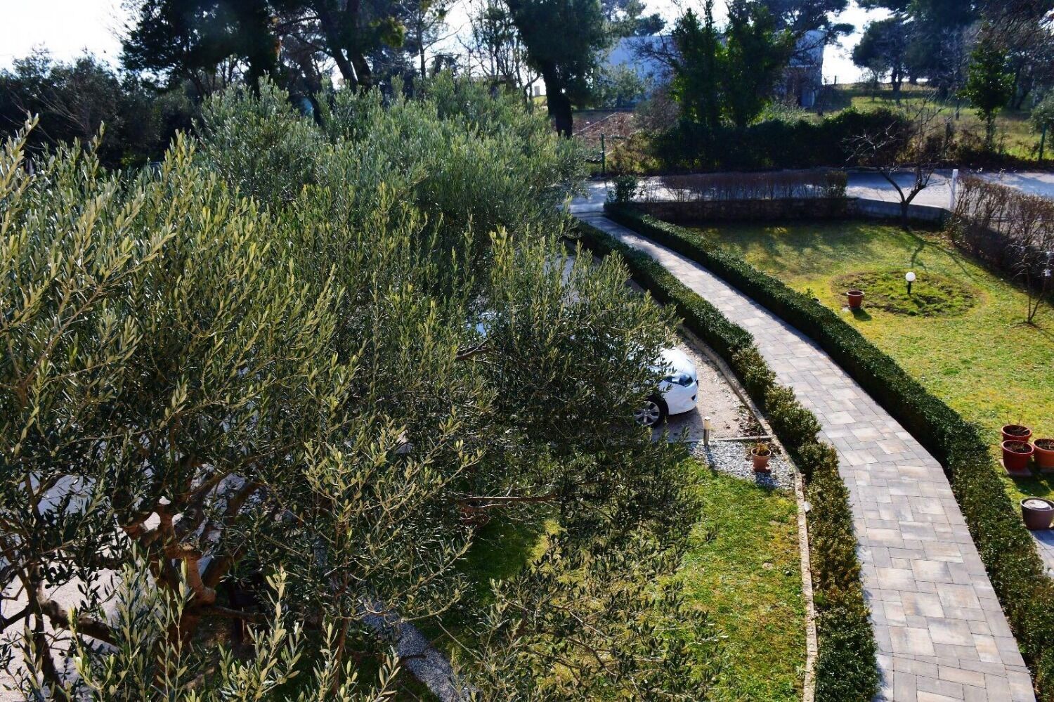 Photo of Apartments Darko