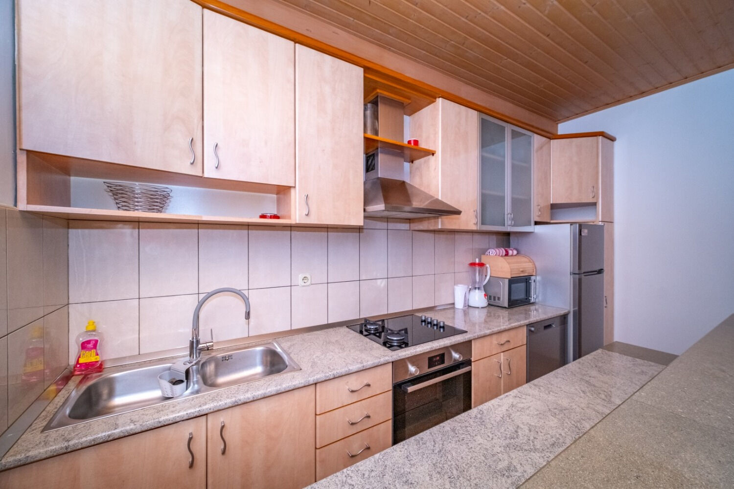 Apartment Zoran 106821-A1