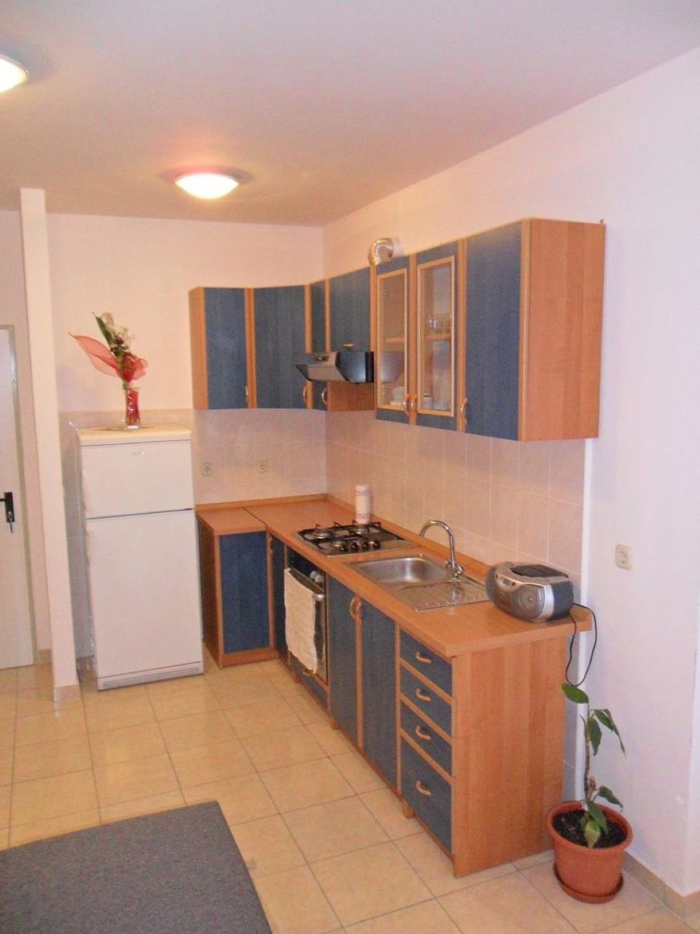 Apartment Blaga 106891-A1
