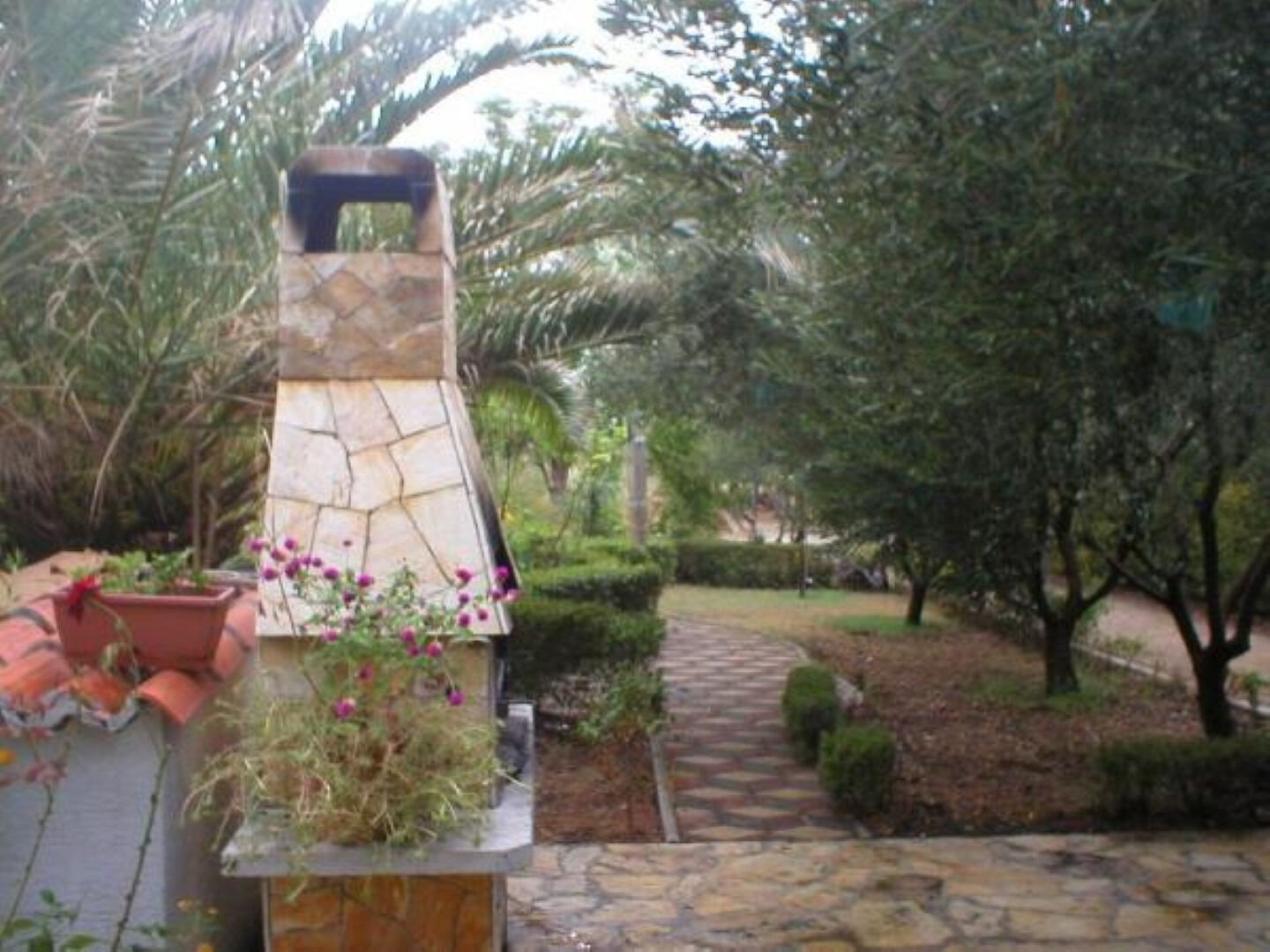 Photo of Apartments Ivo