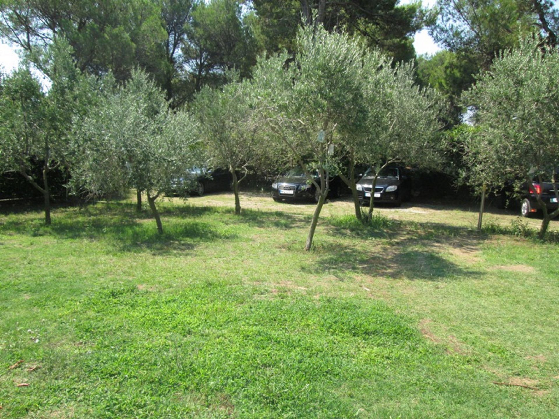 Apartments Ivo 106901-A3