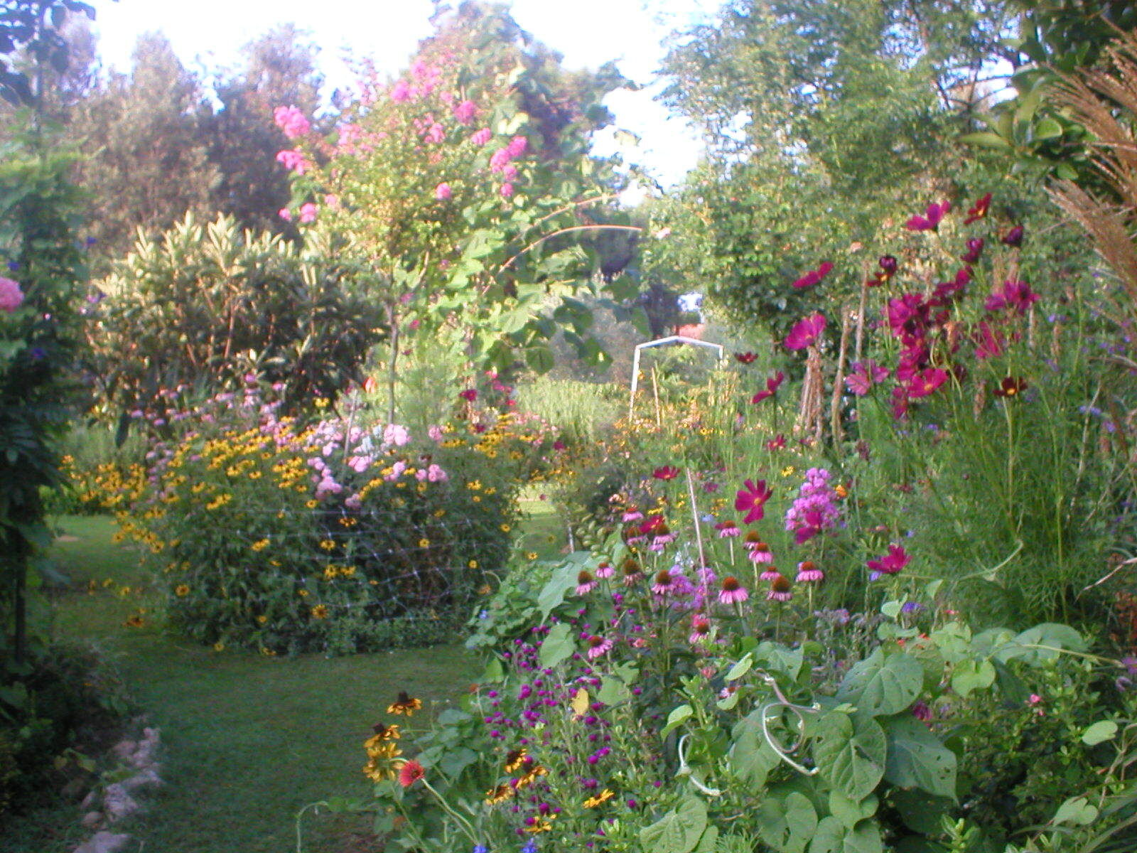 Photo of Apartments Ivo