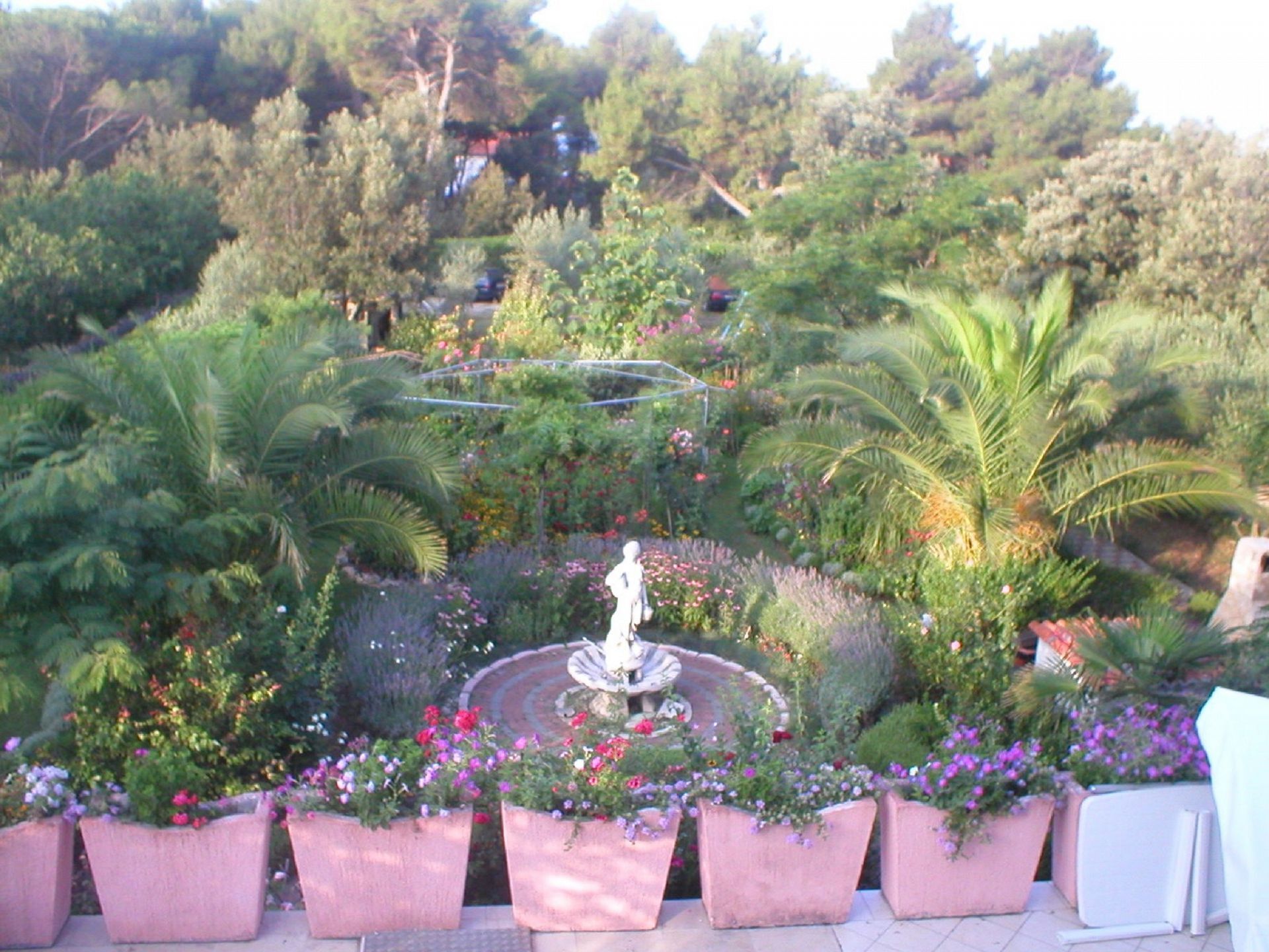 Photo of Apartments Ivo