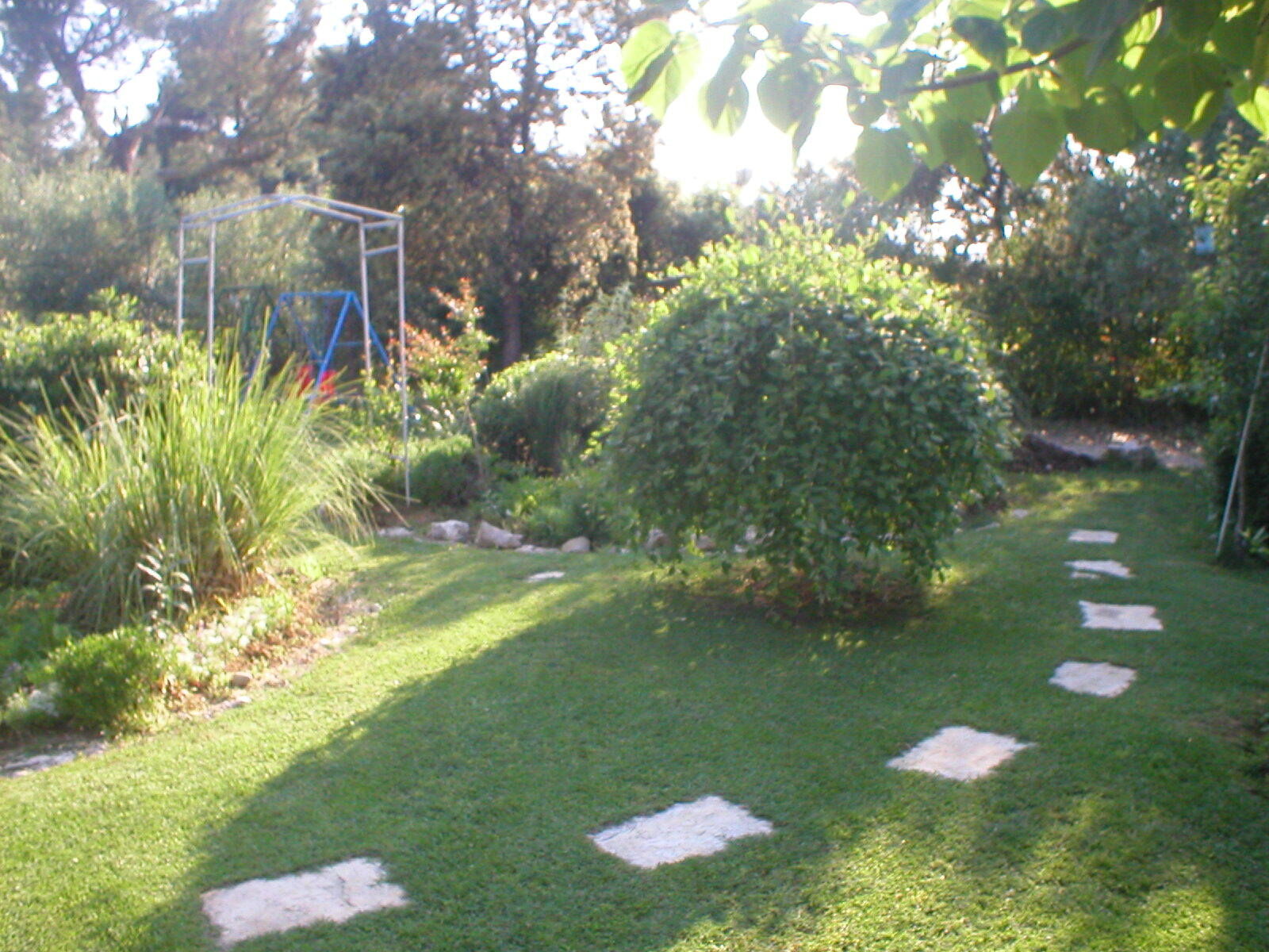 Photo of Apartments Ivo