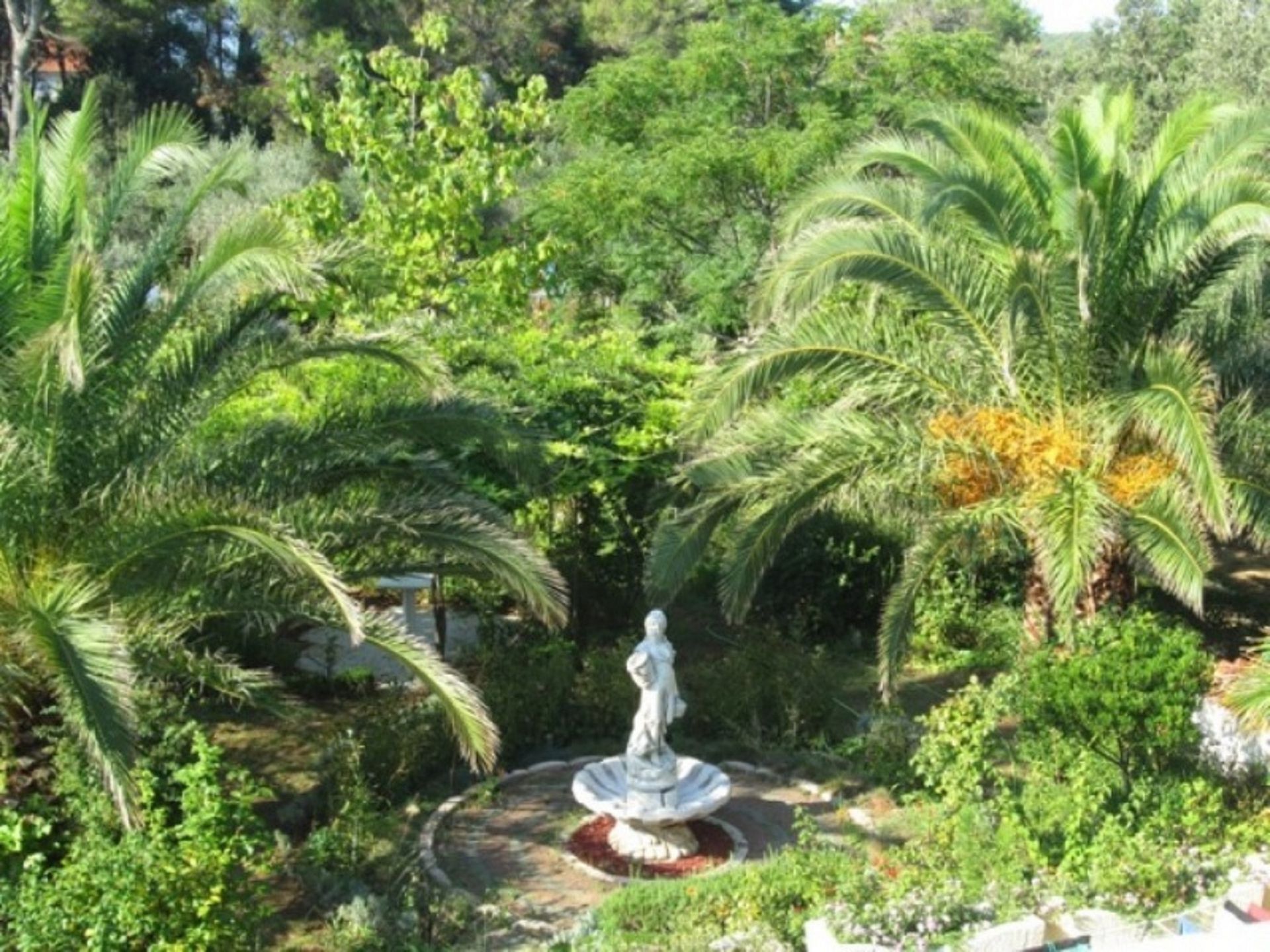 Photo of Apartments Ivo